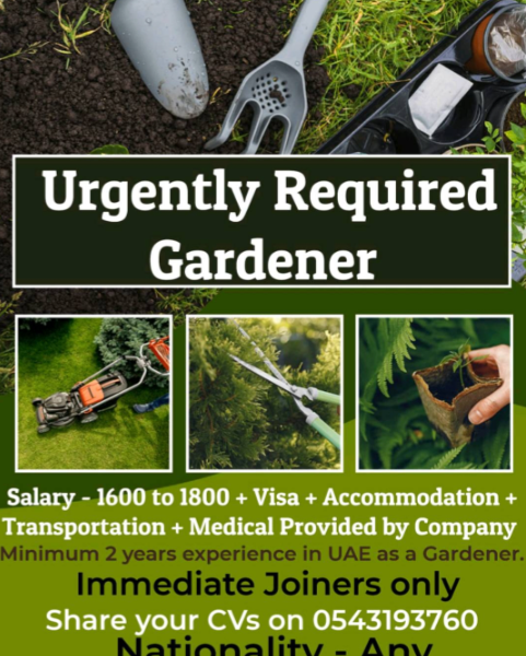 Urgently Required Gardener